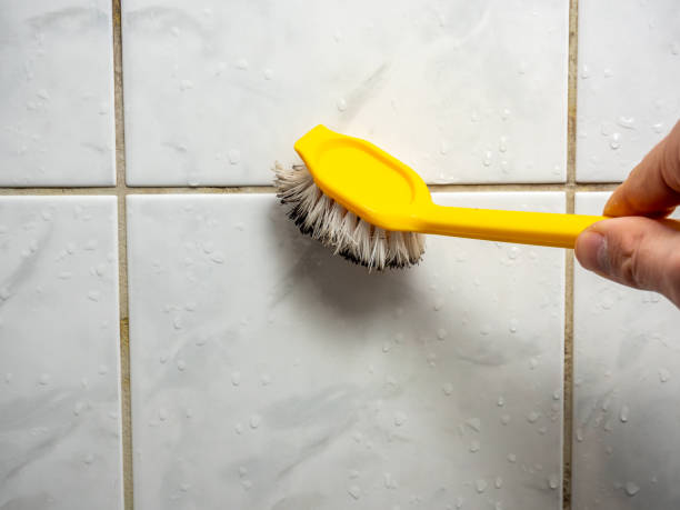 Certified Mold Removal in Electra, TX