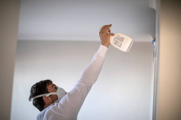 Best Affordable Mold Removal  in Electra, TX