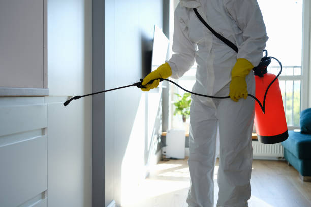 Best Mold Testing  in Electra, TX