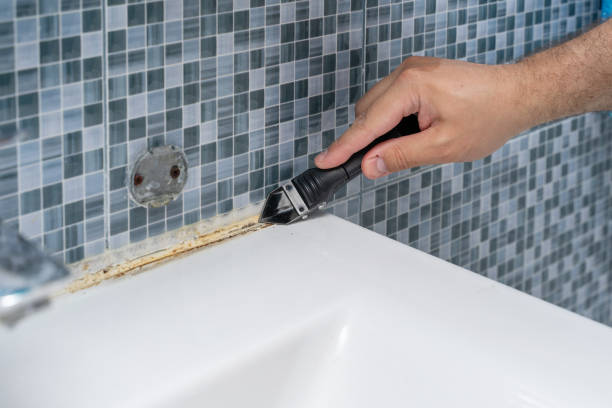 Trusted Electra, TX Mold Removal Experts